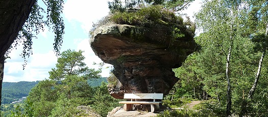 Rastplatz am Wanderweg Rimbach Steig