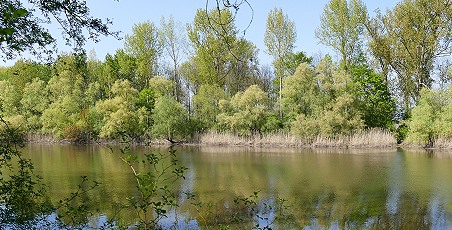 Premiumwanderweg Treidlerweg bei Hoerdt